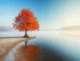 高‌级‍自‍适‍应‍设﻿计‌方‌案‍怎﻿么‌写​